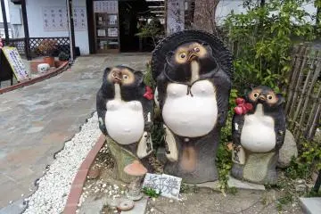 ตัวทะนุกิสัญลักษณ์แห่งความโชคดีของชาวญี่ปุ่น