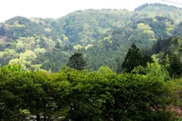 Les alentours de Nikko vus depuis la rue principale