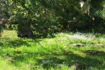 Le jardin intérieur du Nikko Tokanso