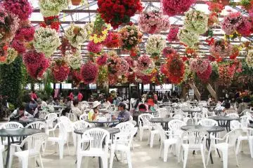 Flower Kingdom in Kobe