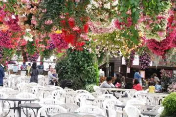 Cafe zone is also full of flowers