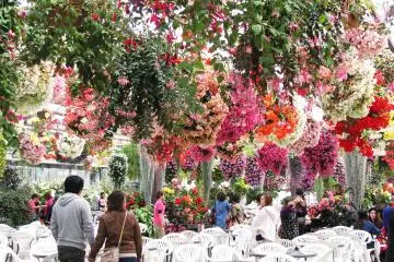 I wish I could visit this place more often