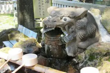 Sumo-like water spring