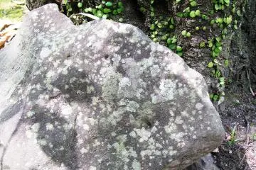 I like all fragments of the garden