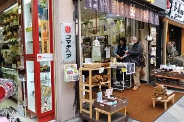 ร้านขายเครื่องมือทำสวนนานาชนิดก็มี