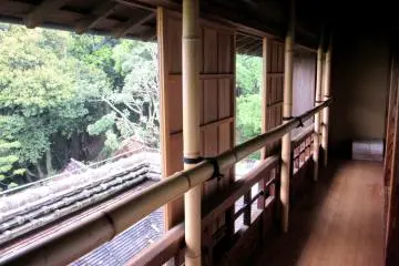 The upper terrace
