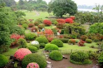 Great view to the garden