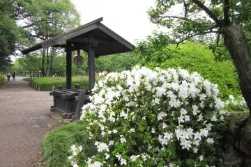 Beautiful surroundings of Kobuntei