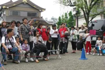 Spectators of the show