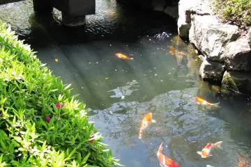 Traditional bridge over a small river