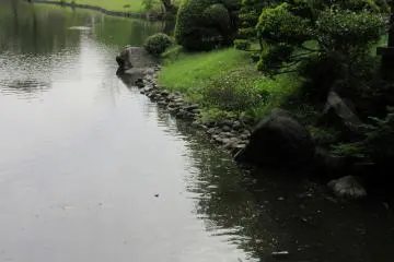 Kolam taman