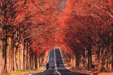 Makino Pic-land