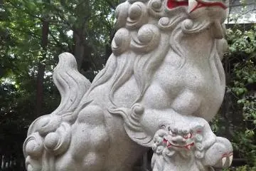 This lion is looking after a cub