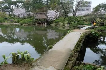 สวนชูเคเอน
