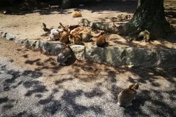 บรรยากาศบนเกาะ