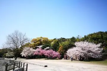 บรรยากาศบนเกาะ