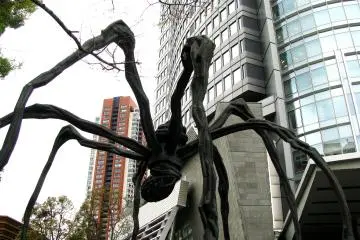 Mori Tower and a Spider