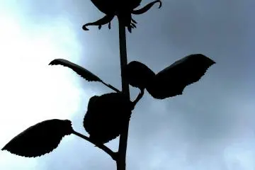 Metal rose
