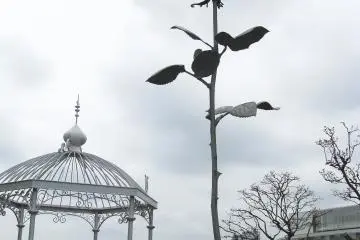 The rose is also giant!