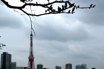 Tokyo Tower in sight