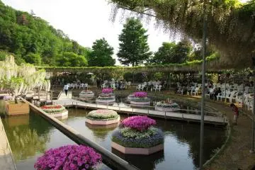 Anda dapat menemukan banyak tempat untuk beristirahat di taman