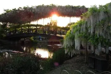 Matahari terbenam di taman