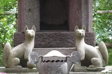 Inari's kitsune