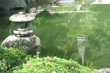 One more fragment of the garden