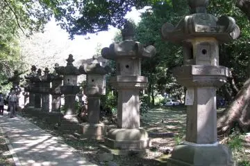 Gallery image