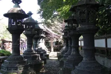 In Ueno Koen, there are many lines of dfferent lanterns