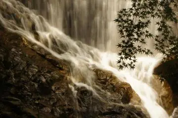 Autumn leaves and Nunobiki Falls