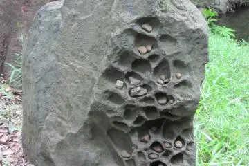 "Magic" stone