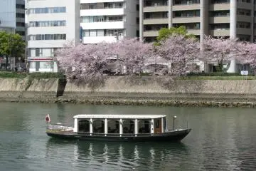 At Motoyasuzawa River