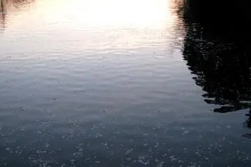 Sunset reflections