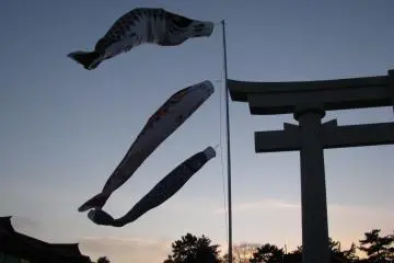 Silhouettes 