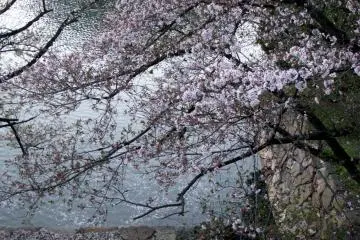 Peaceful evening in Hiroshima