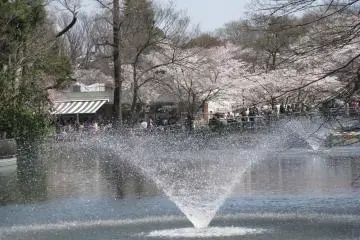 Behind the fountain one can see a lot of people walking