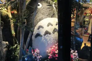 Totoro in the showcase