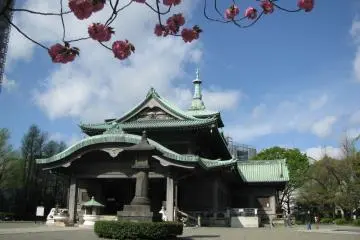 Gallery image