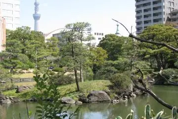 Kyu-Yasuda Taien