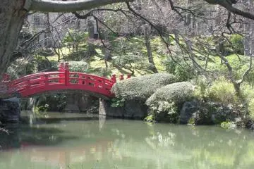 A view with a red bridge
