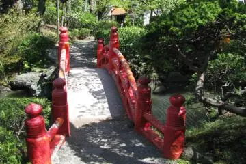Traditional bridge of a Japanese garden