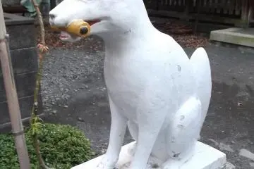 ...and the companion