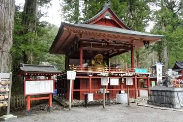 Gallery image