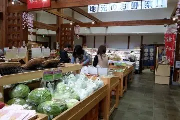 Huge cabbages