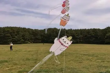 Strong winds at the park are suited for kite flying activities and we spotted this one high up in the air with cute pet figures stuck on its tail