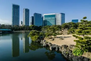 Some of Tokyo's buildings overlook the garden, making for a wonderfully photogenic scene