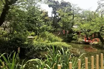Shrine and pond across from the compound