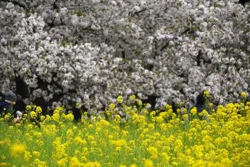 สีสันที่ตัดกันอย่างลงตัว