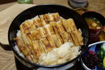ข้าวหน้าปลาไหล